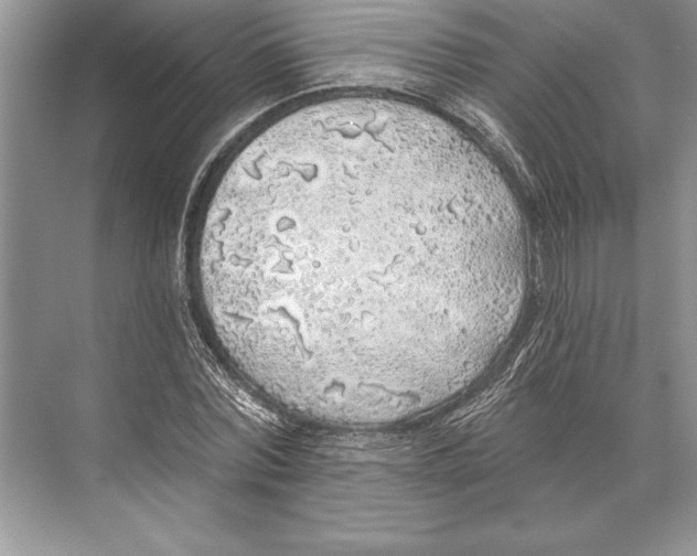 X0000074960780200609221756