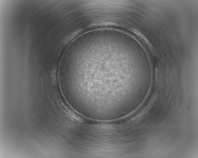 X0000074960785200609221756