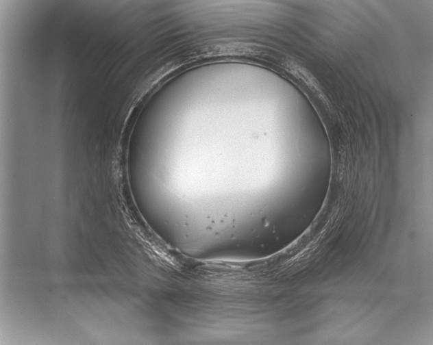 X0000074960786200609221756