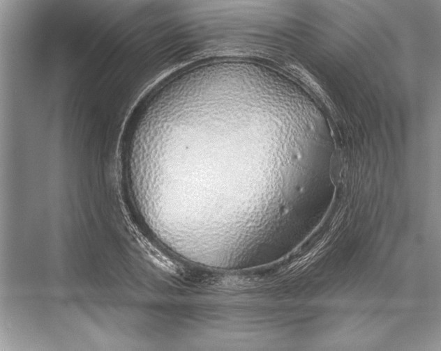 X0000074960787200609221756