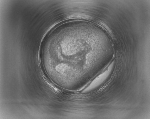 X0000074960788200609221756