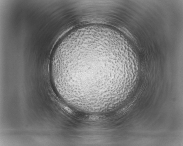 X0000074960790200609221756