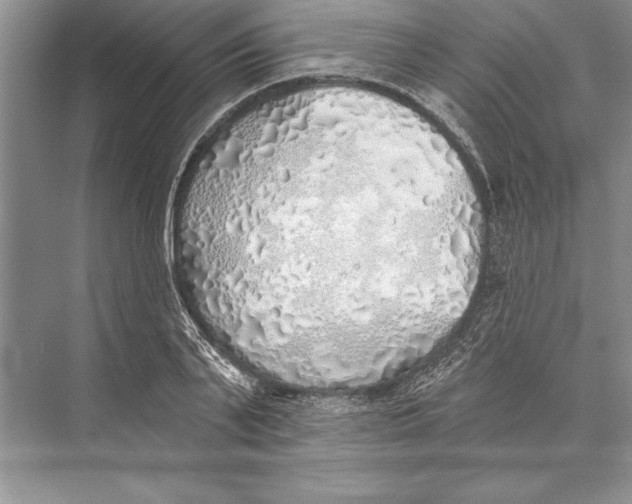 X0000074960791200609221756