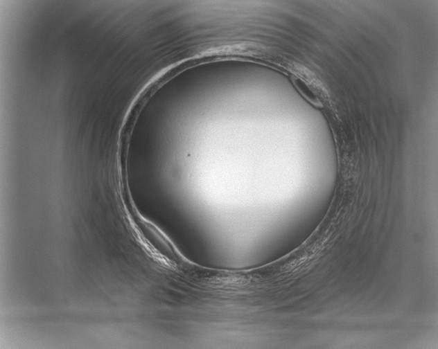 X0000074960792200609221756