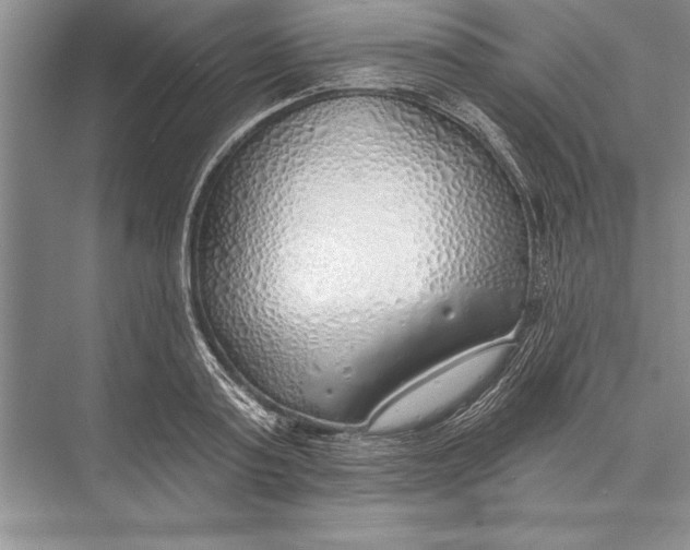 X0000074960795200609221755