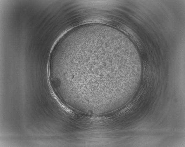 X0000074960796200609221755