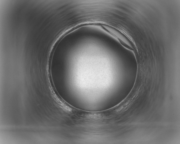 X0000074960797200609221755