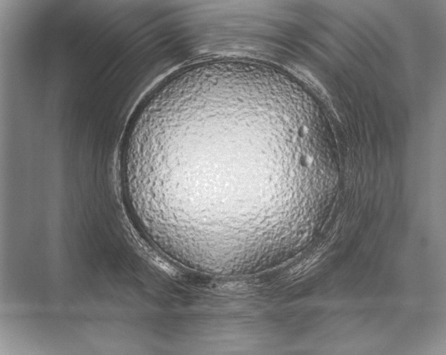 X0000074960798200609221755