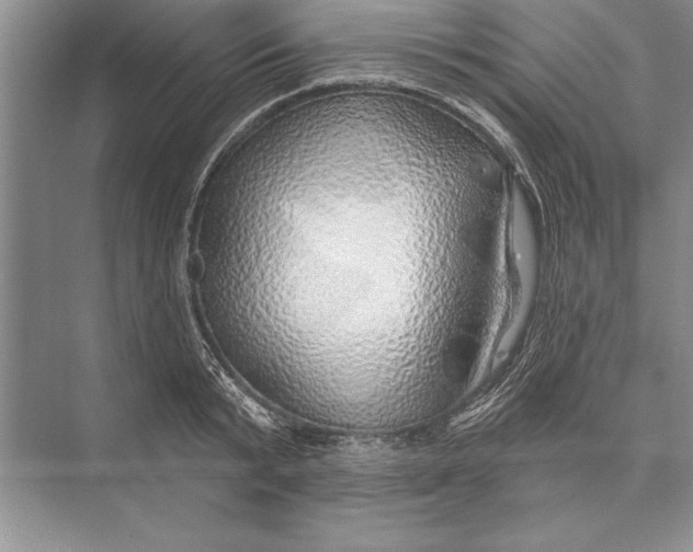 X0000074960799200609221755