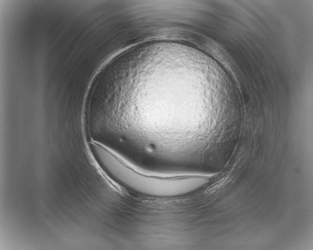 X0000074960803200609221755