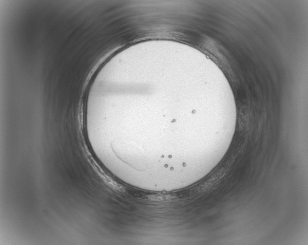 X0000074960804200609221755