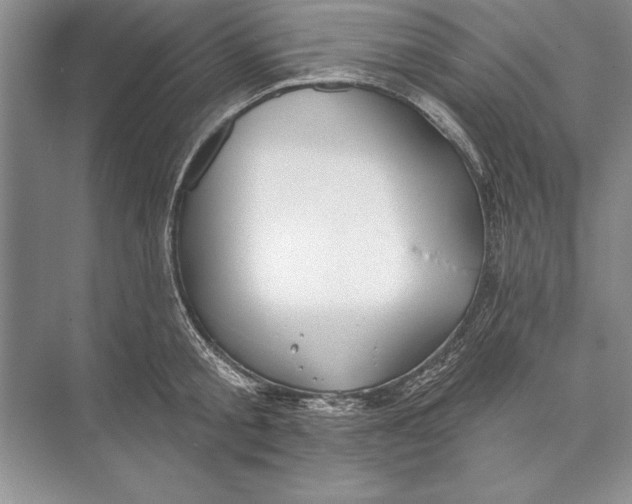 X0000074960805200609221755