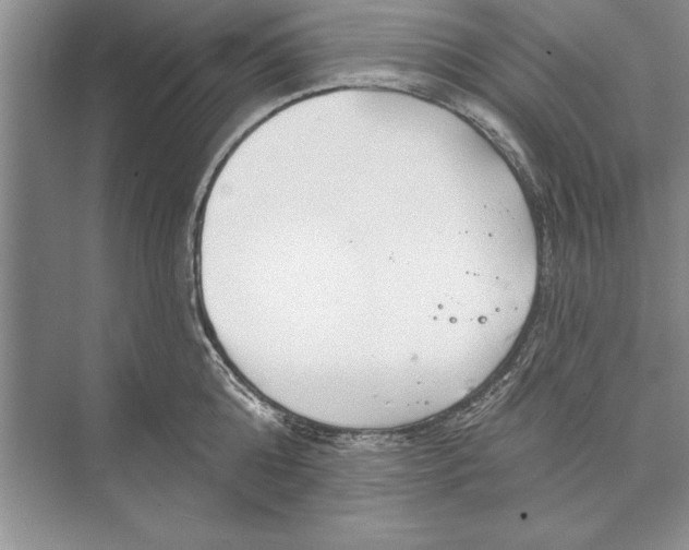 X0000074960808200609221755