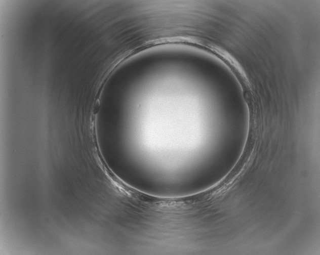 X0000074960809200609221755