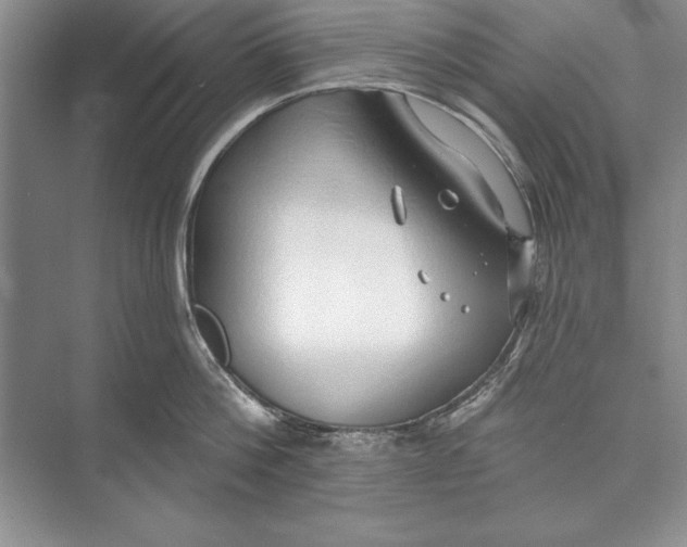 X0000074960812200609221755