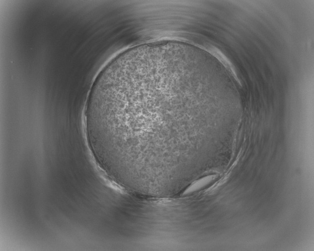 X0000074960814200609221755