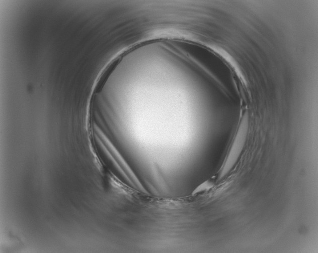 X0000074960815200609221755