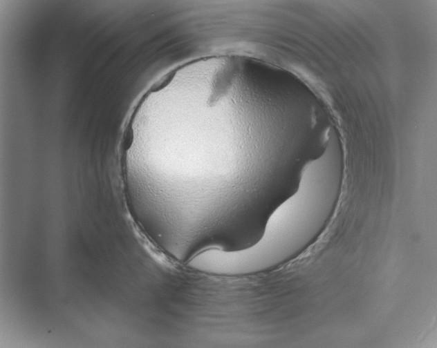 X0000074960816200609221755