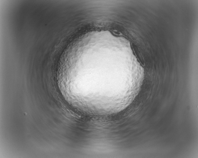 X0000074960817200609221754