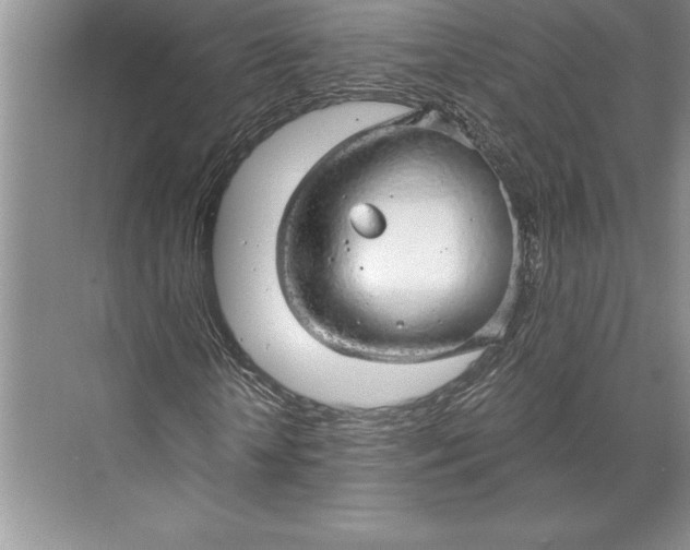 X0000074960818200609221754