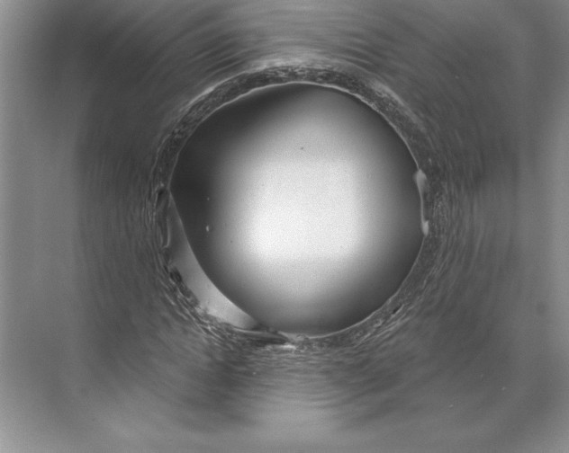 X0000074960822200609221754