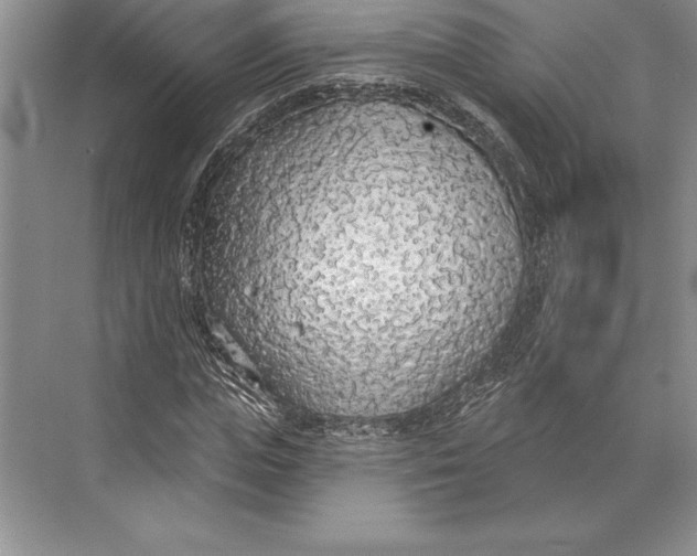 X0000074960823200609221754