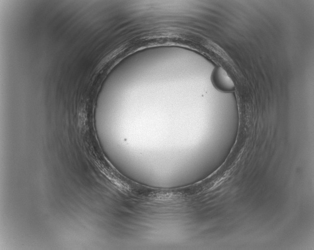 X0000074960826200609221754