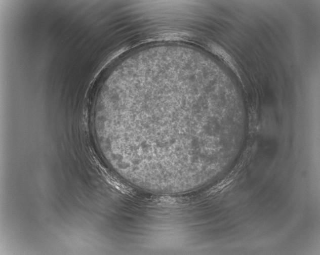 X0000074960827200609221754