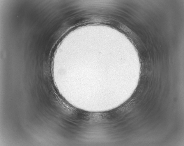 X0000074960828200609221755