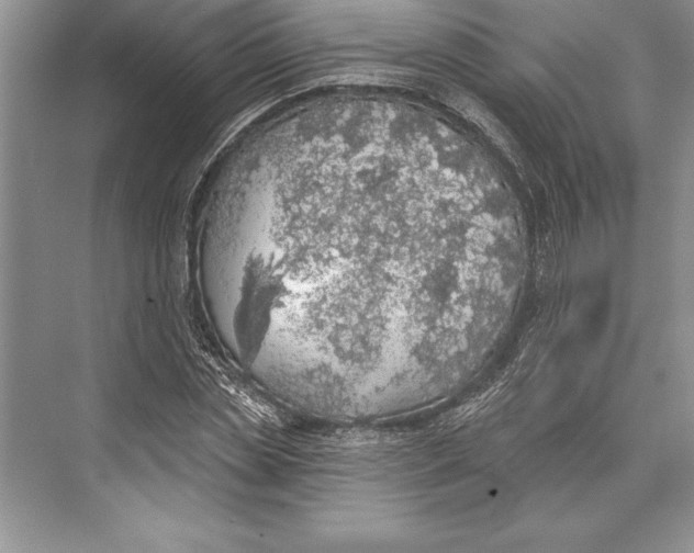 X0000074960829200609221755