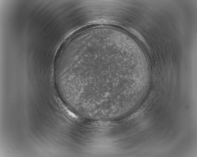 X0000074960831200609221755