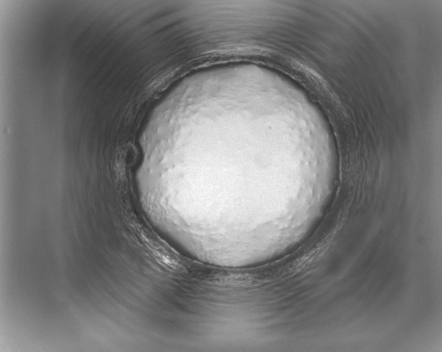 X0000074960833200609221755