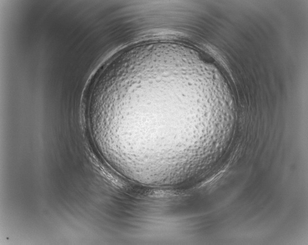 X0000074960835200609221755