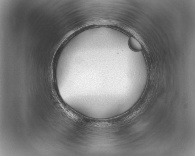 X0000074960837200609221755