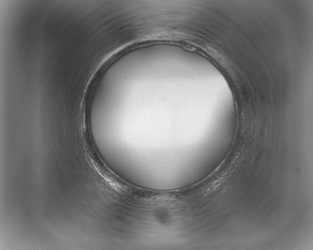 X0000074960838200609221755