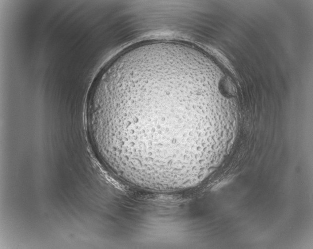 X0000074960839200609221755