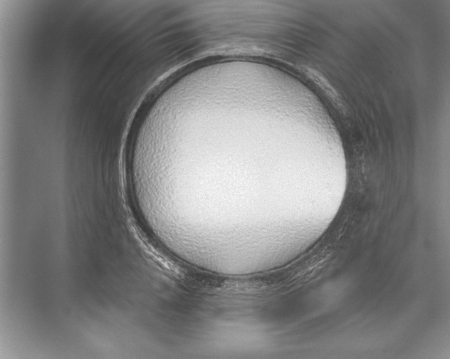 X0000074960840200609221755