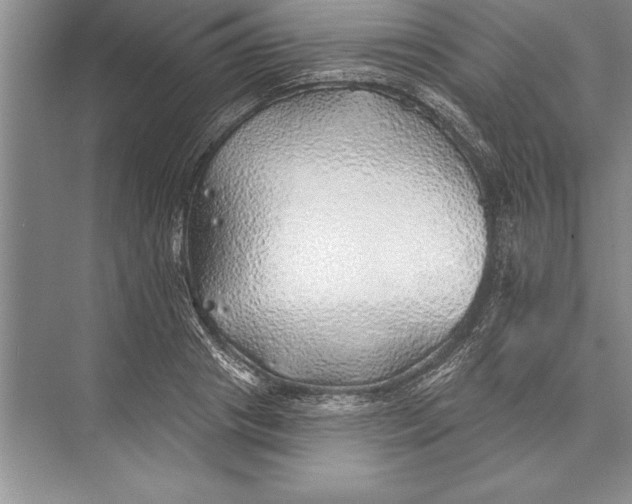 X0000074960841200609221755