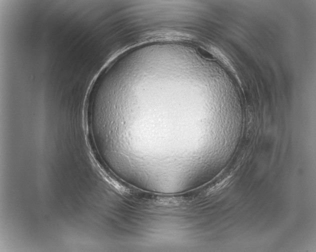 X0000074960843200609221755