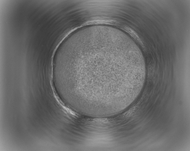 X0000074960844200609221755