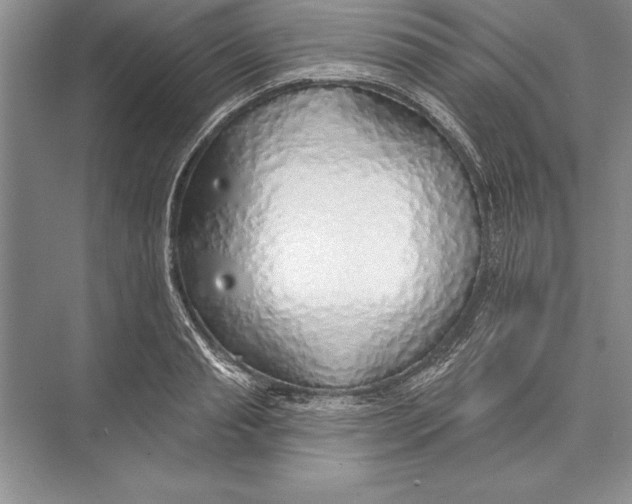 X0000074960845200609221755