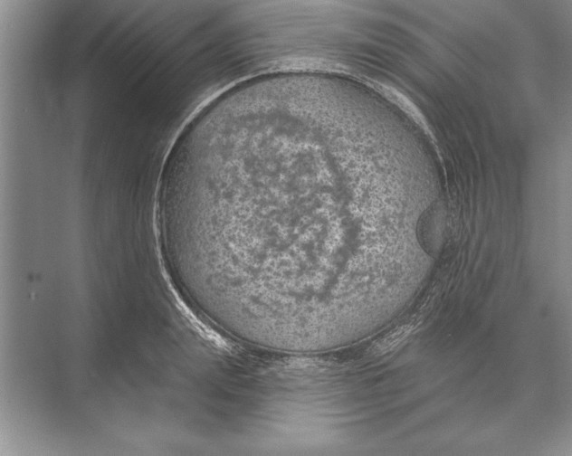 X0000074960847200609221755