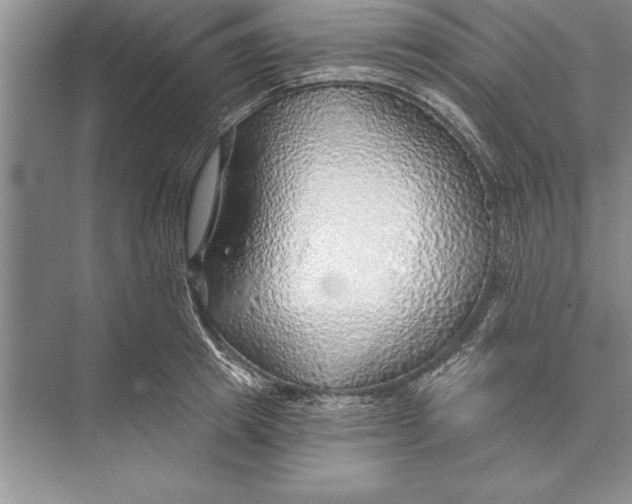 X0000074960849200609221755