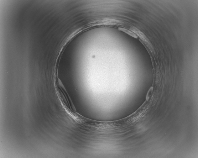 X0000074960850200609221755