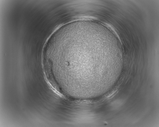 X0000074960851200609221755