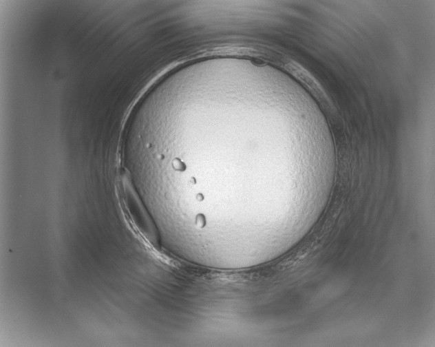 X0000074960852200609221755