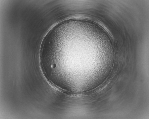 X0000074960853200609221755