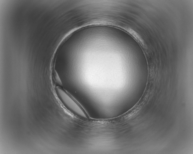 X0000074960854200609221755