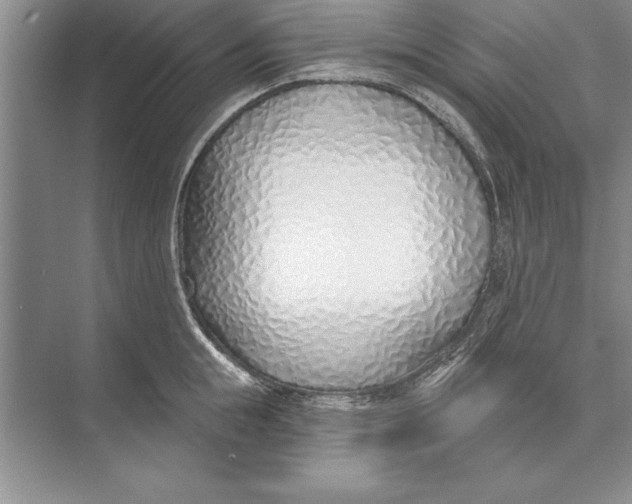 X0000074960855200609221755