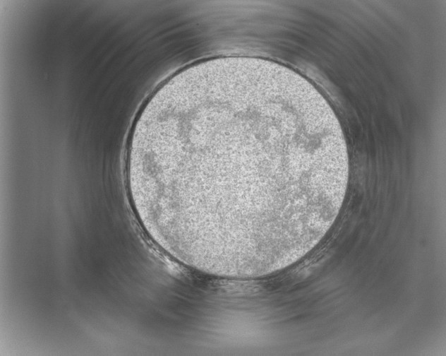 X0000074960856200609221755